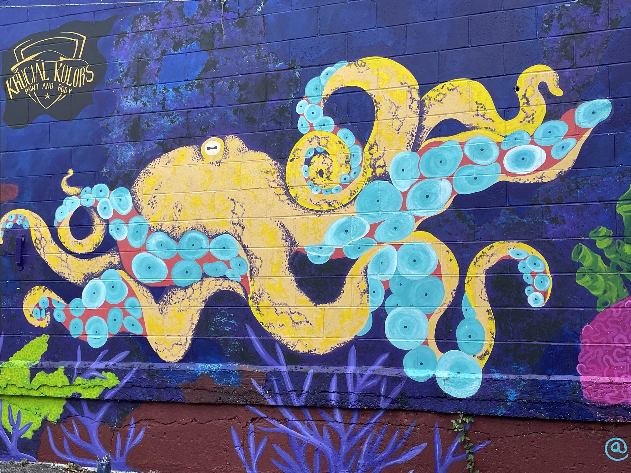 Murray the octopus mural, view 15.